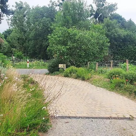Dans Le Vignoble Nantais * Vallet