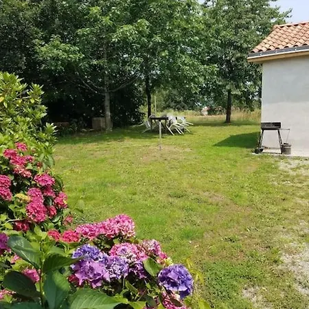 Dans Le Vignoble Nantais Vallet