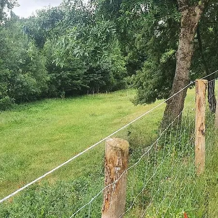 Dans Le Vignoble Nantais *